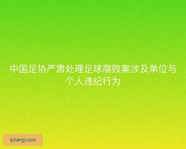 中国足协严肃处理足球腐败案涉及单位与个人违纪行为